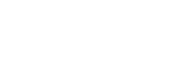 United Visa Group